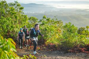 BIB: 
                            <button type="button" onclick="openModal(21877821)" class="btn btn-primary btn-sm float-right btn-popup" data-toggle="modal" data-target=".modal-high-quality">
                        <i class="fas fa-shopping-cart"></i> Add to Cart
                    </button>
                                            <button type="button" onclick="isThisMe(21877821, true)" class="btn btn-success btn-sm float-right btn-popup btn-isme hidden" data-toggle="tooltip" data-placement="bottom" title="นี่คือรูปของคุณใช่ไหม คลิกที่นี่เพื่อเอาเข้าอัลบั้ม">
                        <i class="fas fa-plus"></i> Add to album
                    </button>
                    <button type="button" onclick="isThisMe(21877821, false)" class="btn btn-warning btn-sm float-right btn-popup btn-isnotme hidden">
                        <i class="fas fa-ban"></i> Remove from album
                    </button>